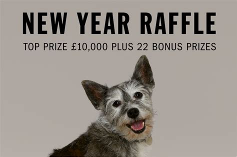 battersea paw draw lottery|battersea dogs home raffle.